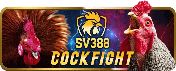 Tải ứng dụng v999